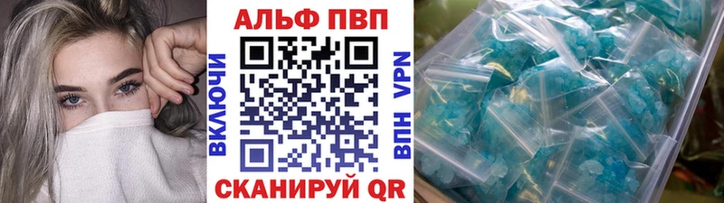A PVP СК КРИС  Адыгейск 