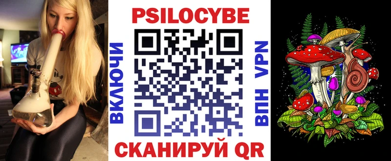 omg вход  Адыгейск  Галлюциногенные грибы мицелий 